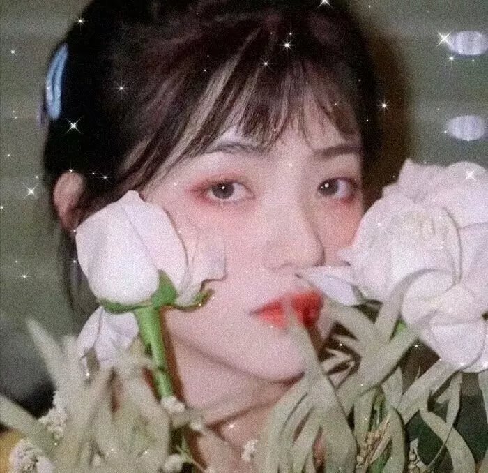 烈女与镖客